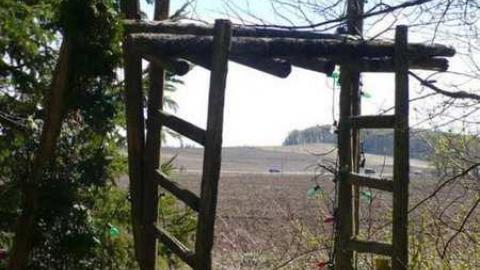 Bird dog - Bird-House-Lane84.jpg