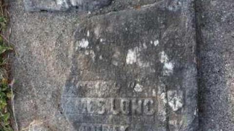 Forgotten Forested Friends - Blyth-Pioneer-Cemetery34.jpg