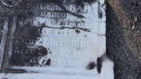 Forgotten Forested Friends - Blyth-Pioneer-Cemetery35.jpg