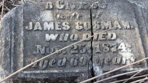 Forgotten Forested Friends - Blyth-Pioneer-Cemetery30.jpg