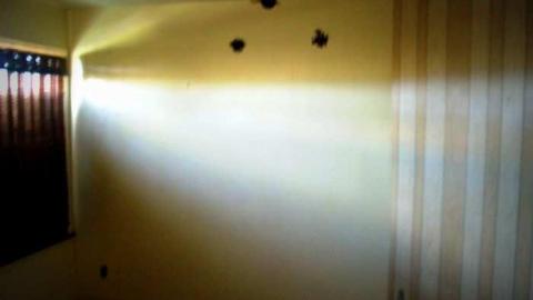 Mississauga Hat Trick - CRW_4103.CRW.jpg