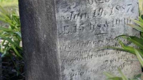 Forgotten Forested Friends - Blyth-Pioneer-Cemetery37.jpg