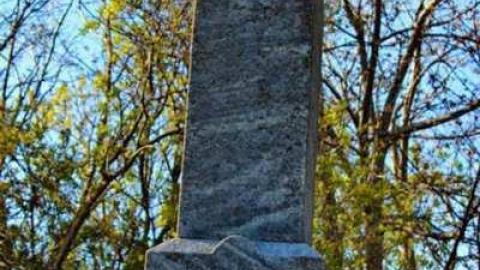 Forgotten Forested Friends - Blyth-Pioneer-Cemetery32.jpg