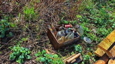 Eighty-Sixed photo 2