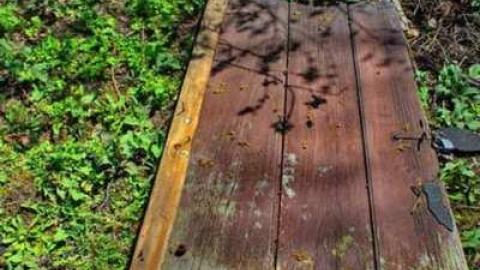 Old Timer - EightySixed13.jpg