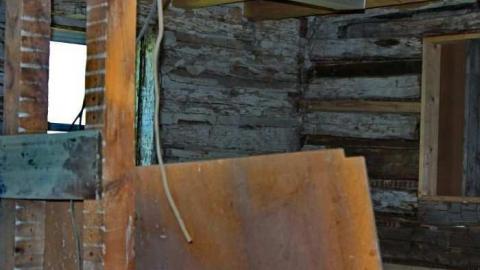 Eighty-Sixed photo 4