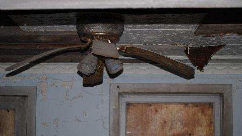 Still Standing in Dale photo 3