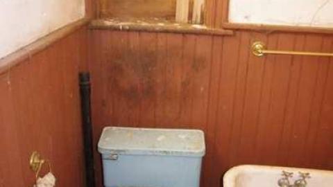 Brick house on Mulmur Line 4 photo 4