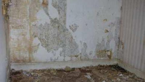 Mulmur Line 4 brick house - Brick-house-on-Mulmur-Line-412.jpg