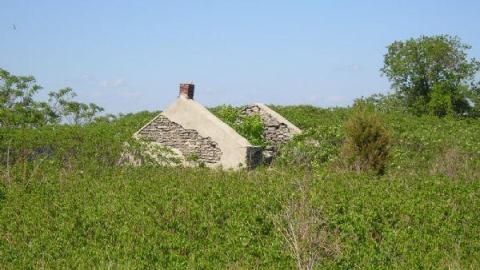 Gallery - Main-Duck-Island2.jpg