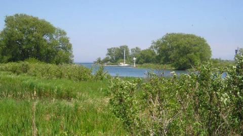 Gallery - Main-Duck-Island4.jpg