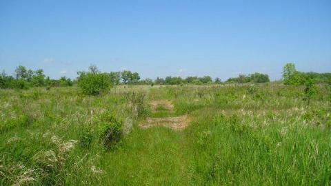 Gallery - Main-Duck-Island5.jpg