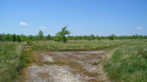 Gallery - Main-Duck-Island6.jpg