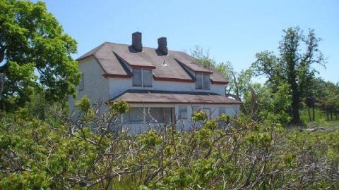 Gallery - Main-Duck-Island7.jpg