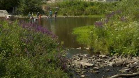 Harris Woolen Mill - Rockwood - Guelph/Eramosa, Ontario