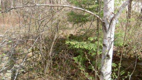 2012 Trek - Hindon-Hill-(Drowning-Tragedy)3.jpg