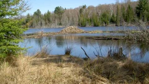 2012 Trek - Hindon-Hill-(Drowning-Tragedy)5.jpg