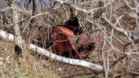 2012 Trek - Hindon-Hill-(Drowning-Tragedy)6.jpg