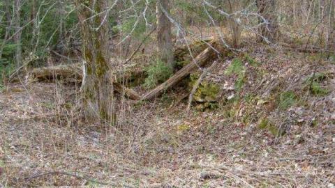 2012 Trek - Hindon-Hill-(Drowning-Tragedy)12.jpg