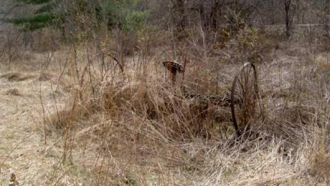 2012 Trek - Hindon-Hill-(Drowning-Tragedy)15.jpg