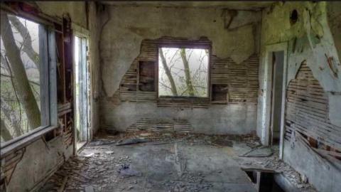 In the Trees photo 3