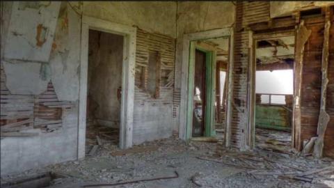 4/20/12 - In-the-Trees6.jpg