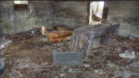 In the Trees photo 4