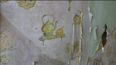 In the Trees - Adjala-Tosorontio, Ontario