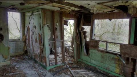 In the Trees photo 5