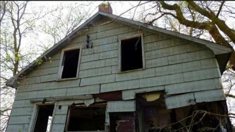 4/20/12 - In-the-Trees2.jpg