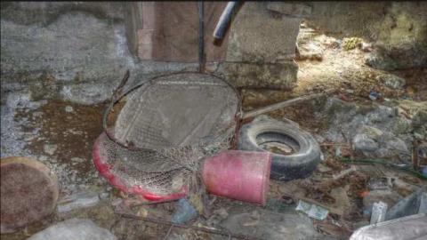 In the Trees photo 2