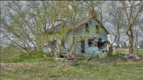 4/20/12 - In-the-Trees3.jpg