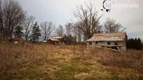 The Bird Cage - Woodstock-1940s-House5.jpg