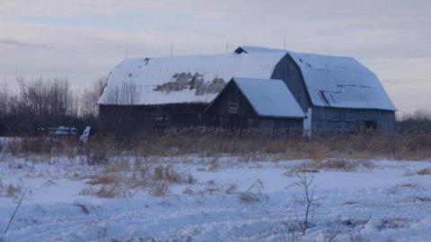 Gallery - Dobbie-Rd-Farmhouse-Ventnor2.jpg