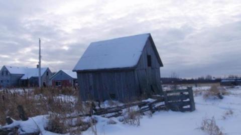 Dobbie Rd Farmhouse- Ventnor photo 3