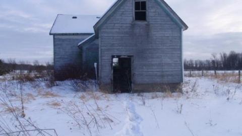 Dobbie Rd Farmhouse- Ventnor photo 5