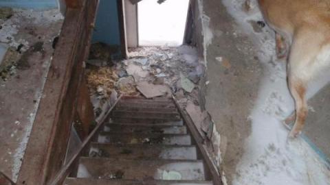 Gallery - Dobbie-Rd-Farmhouse-Ventnor6.jpg