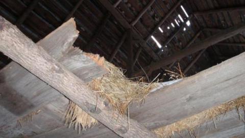 Dobbie Rd Farmhouse- Ventnor photo 2