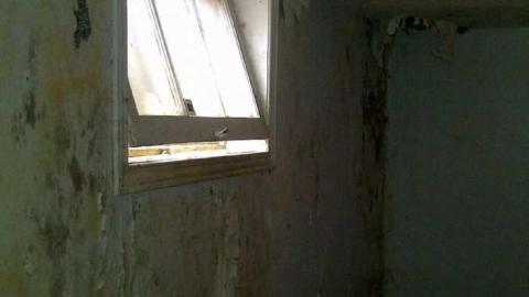 Hey Bungalow Bill - Ericas-Place48.jpg