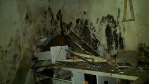 Hey Bungalow Bill - Ericas-Place39.jpg