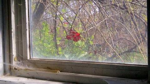 Hey Bungalow Bill - Ericas-Place37.jpg