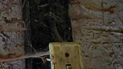 Dusty Deals Done - Guelph, Ontario