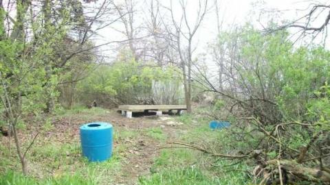 House - 850-N-Big-Island-Rd13.jpg