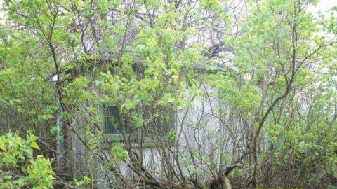 House - 850-N-Big-Island-Rd3.jpg