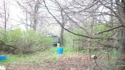 850 N Big Island Rd photo 2