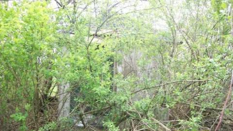 House - 850-N-Big-Island-Rd4.jpg