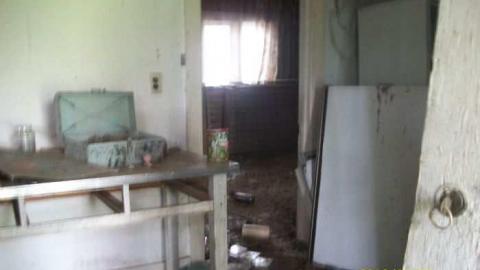 850 N Big Island Rd photo 4