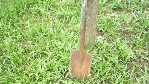 850 N Big Island Rd - Prince Edward County, Ontario