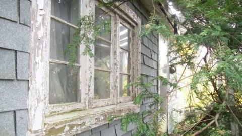 House - 850-N-Big-Island-Rd9.jpg