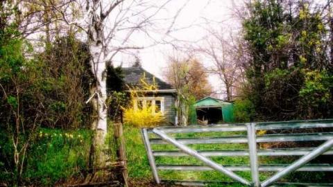 Photo from More house